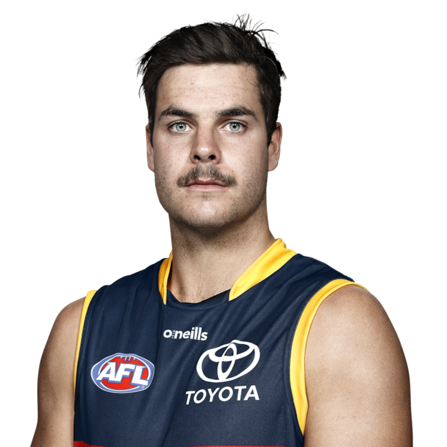 Darcy Fogarty profile picture